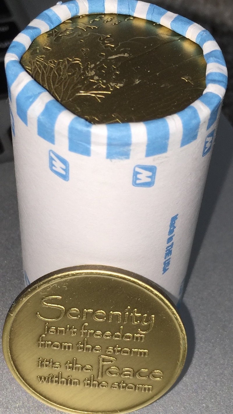ريكافري تشيب مجموعة كبيرة من RecoveryChip مكونة من 25 شريحة من Serenity Lake Peace داخل مجموعة رقائق الميداليات البرونزية Storm للبيع بالجملة - Image 5